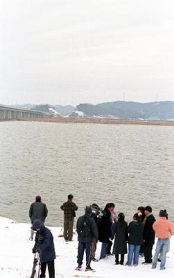 겨울에 금강하구둑에 모인 사람들