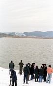 겨울에 금강하구둑에 모인 사람들사진(00004)