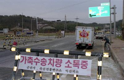 가축수송차량 소독중인 도로