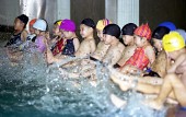 수영장에서 놀고있는 아이들사진(00006)