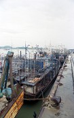 어선이 줄지어 항구에 정박해 있는 모습사진(00001)