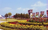 금강하구둑 공원에 있는 꽃밭과 나무들의 모습사진(00005)