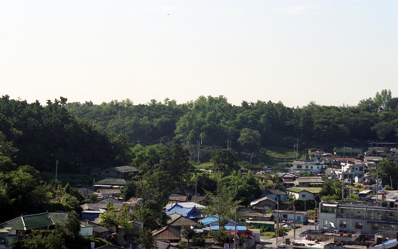 통매산의 풍경