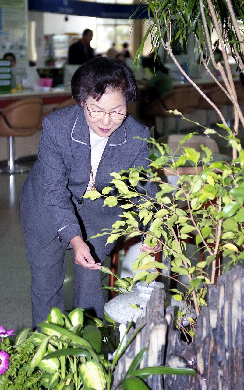 민원봉사과장님이 화단을 꾸미는 모습