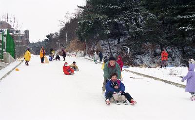 눈싸움과 썰매를 즐기고있는 시민들의 모습