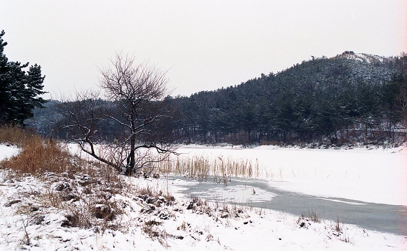 온통 하얘진 나무들과 얼어버린 강물