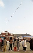 줄을 지어 날아가는 철새를 가리키는 시민들의 모습사진(00001)