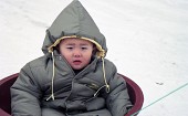 추운지 두꺼운 잠바를 입고 썰매를 타는 아이의 모습사진(00005)