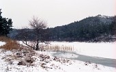 온통 하얘진 나무들과 얼어버린 강물사진(00008)