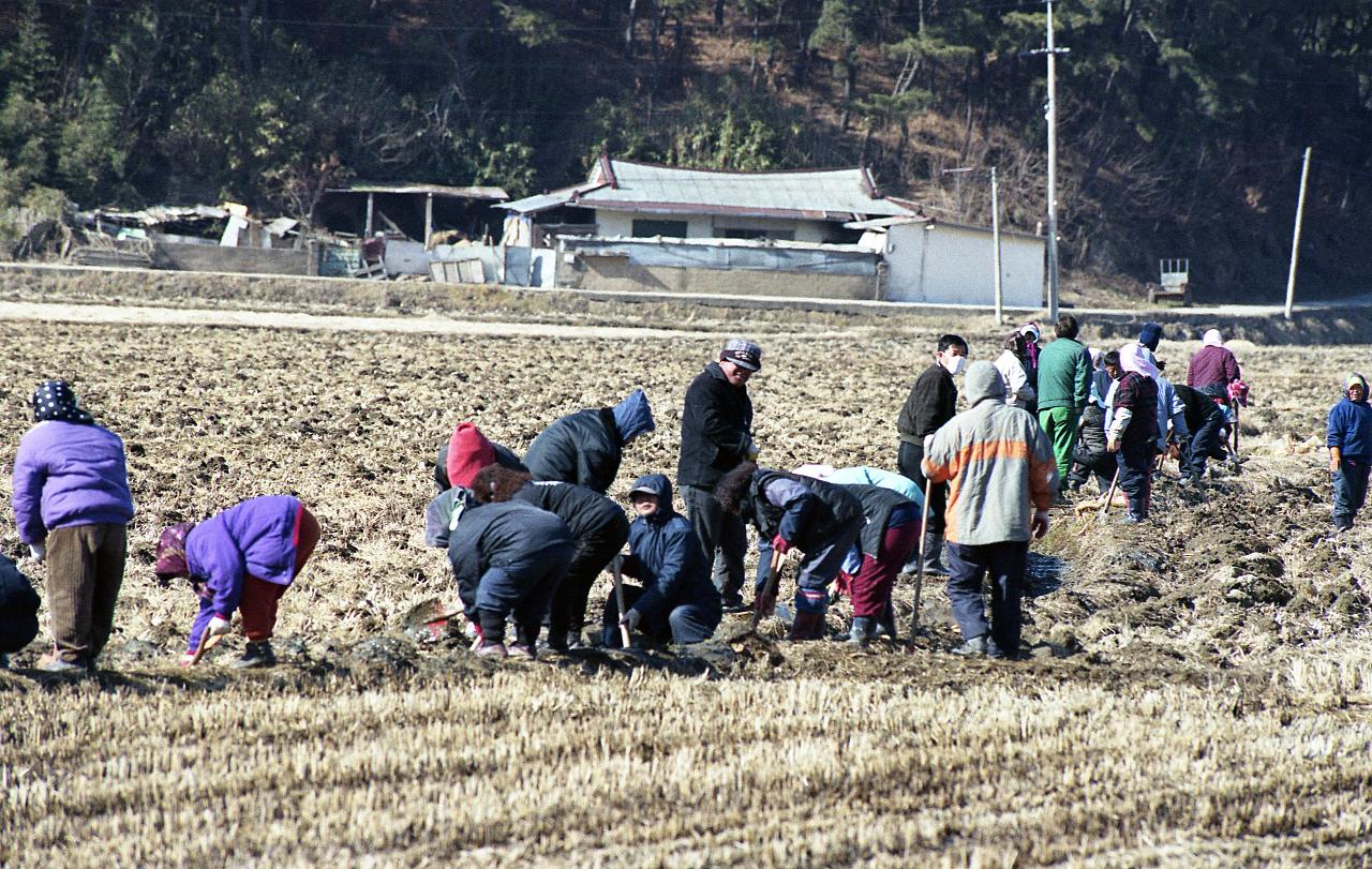 논에 농수로를 만드는 주민분들의 모습