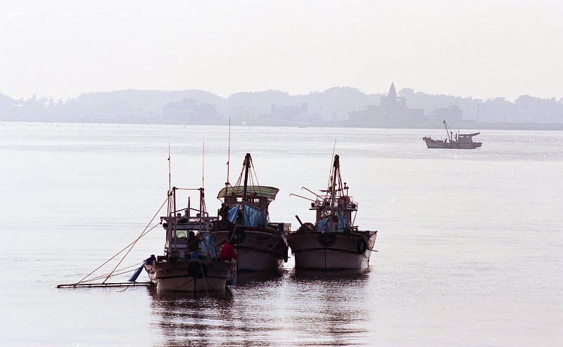 작업 중인 금강하구둑 근처의 어선들의 모습1