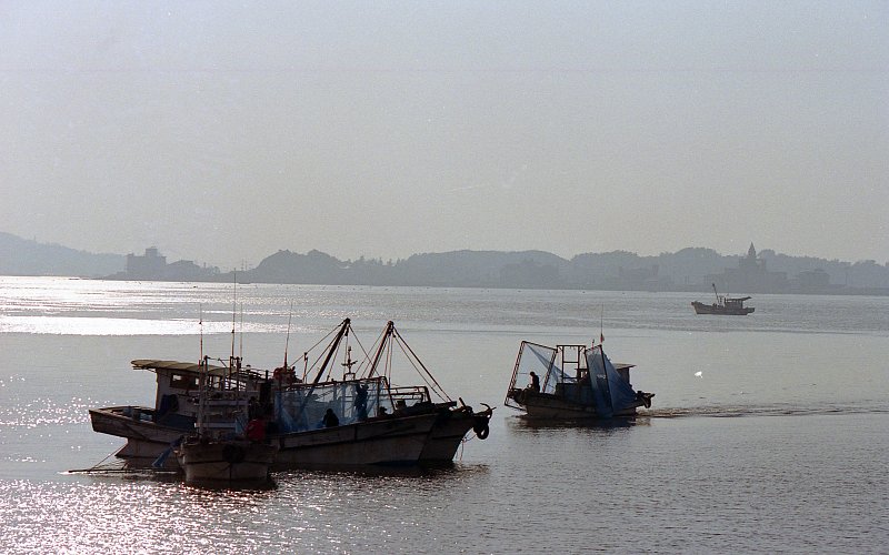 작업 중인 금강하구둑 근처의 어선들의 모습3