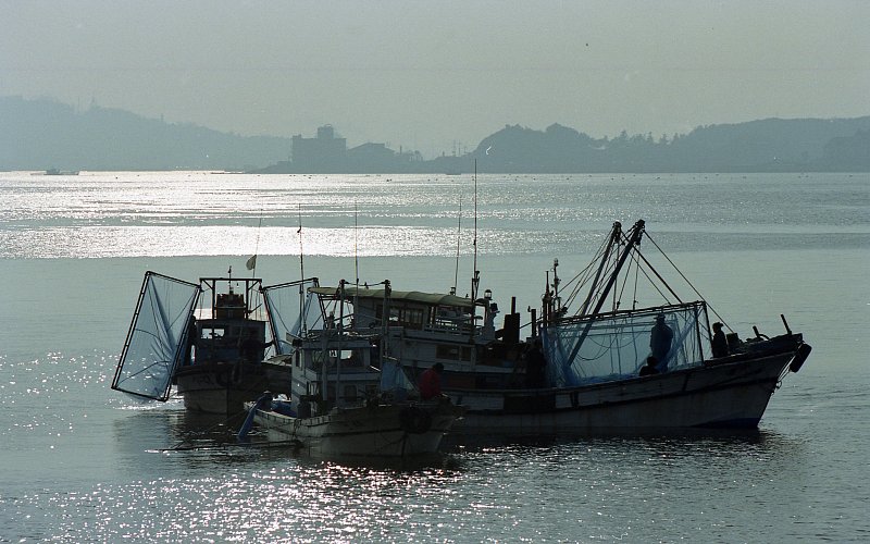 작업 중인 금강하구둑 근처의 어선들의 모습4