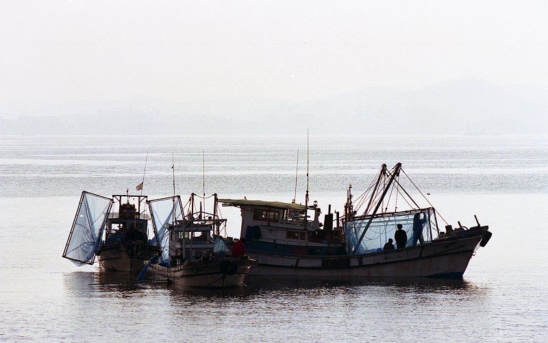작업 중인 금강하구둑 근처의 어선들의 모습5