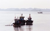 작업 중인 금강하구둑 근처의 어선들의 모습1사진(00002)