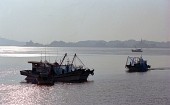 작업 중인 금강하구둑 근처의 어선들의 모습2사진(00003)