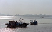 작업 중인 금강하구둑 근처의 어선들의 모습3사진(00005)