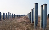 F1그랑프리 부지로 쓰여질 장소의 모습. 기둥이 즐비하게 서있다1사진(00001)