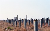 F1그랑프리 부지로 쓰여질 장소의 모습. 기둥이 즐비하게 서있다2사진(00002)