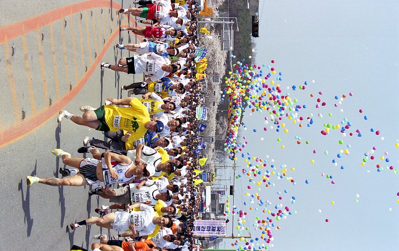 벚꽃마라톤대회에 참석한 많은 참가자들이 달리는 모습3
