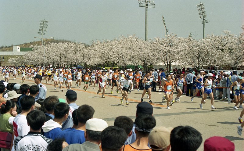 벚꽃마라톤대회를 구경하는 시민분들과 참가자들의 모습1