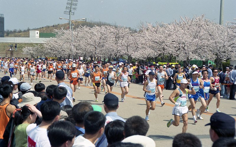 벚꽃마라톤대회를 구경하는 시민분들과 참가자들의 모습2