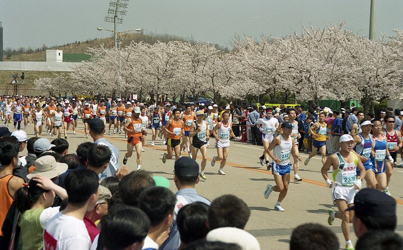 벚꽃마라톤대회를 구경하는 시민분들과 참가자들의 모습3