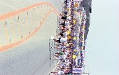 벚꽃마라톤대회에 참석한 많은 참가자들이 달리는 모습2사진(00005)