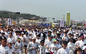 벚꽃마라톤대회에 참석한 많은 참가자들이 달리는 모습4사진(00007)
