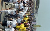 벚꽃마라톤대회에 참석한 많은 참가자들이 달리는 모습5사진(00008)