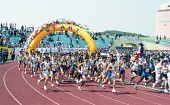 수많은 마라톤 참가자들의 달리는 모습2사진(00009)