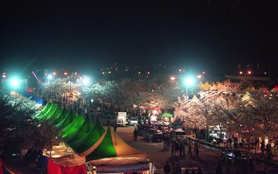 벚꽃축제가 열리고 있는 밤의 풍경7