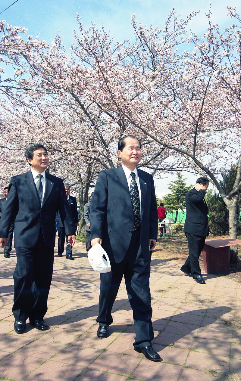 벚꽃아래를 걷고 있는 시장님과 관련인사