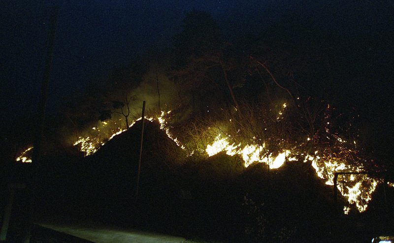 불이 붙어 있는 산의 모습1