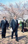 벚꽃아래를 걷고 있는 시장님과 관련인사사진(00008)