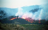 불이 붙어 있는 산의 모습3사진(00011)