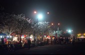 벚꽃축제가 열리고 있는 밤의 풍경1사진(00005)