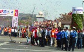 꽃가루가 날리는 가운데 서 있는 사람들사진(00011)