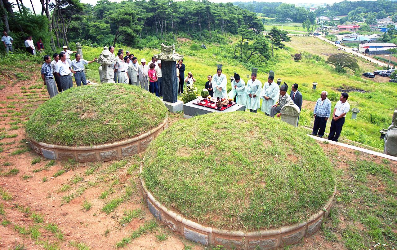 고육제