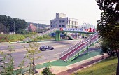 미룡초등학교 육교 개통식사진(00005)