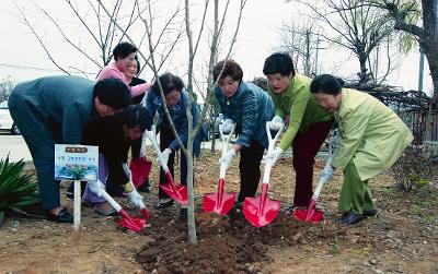 간부부인회 식목식재