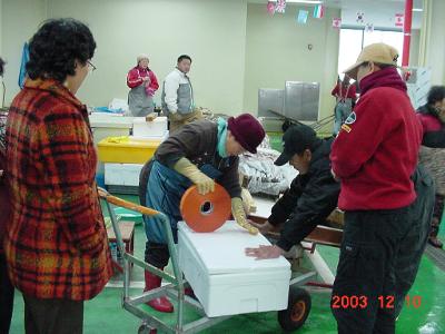 군산 수산물센터 시장전경11