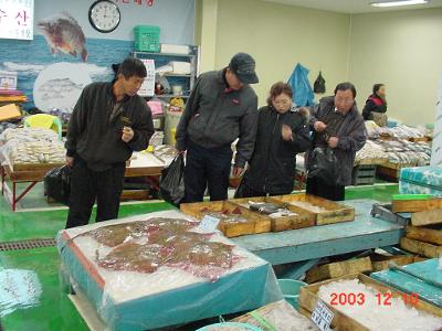 군산 수산물센터 시장전경6