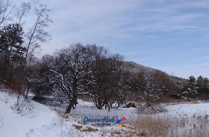 겨울에 눈쌓인 수원지 풍경5