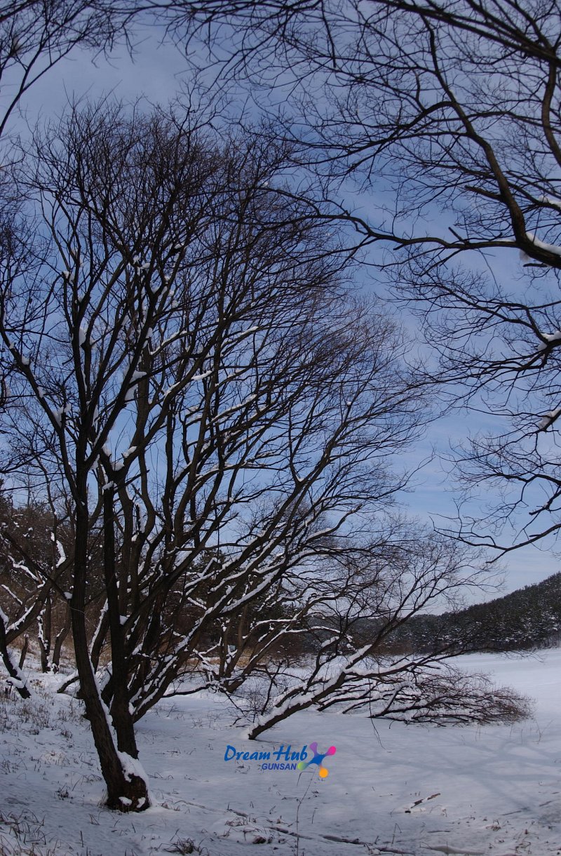 겨울에 눈쌓인 수원지 풍경8