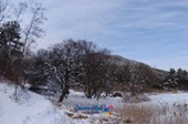 겨울에 눈쌓인 수원지 풍경5사진(00005)