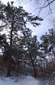 겨울에 눈쌓인 수원지 풍경6사진(00006)