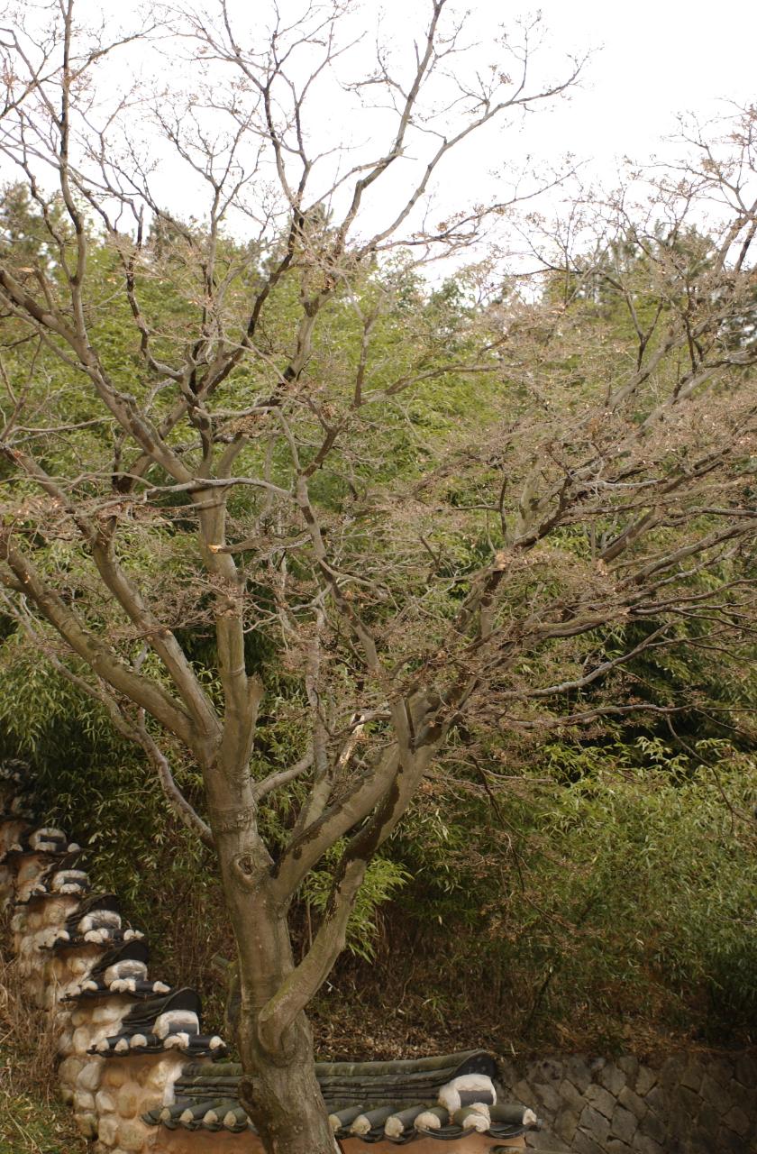 옥구향교 춘계석전대제