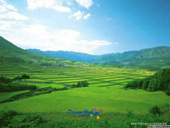 푸르른 잔디가 넓게 펼쳐져있는 풍경사진(00019)