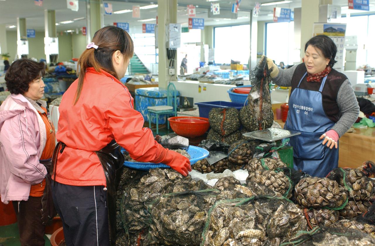 주꾸미축제 현지점검